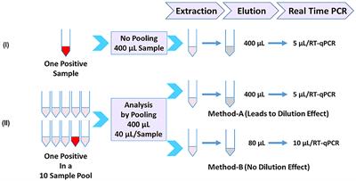 A novel strategy to avoid sensitivity loss in pooled testing for SARS-CoV-2 surveillance: validation using nasopharyngeal swab and saliva samples